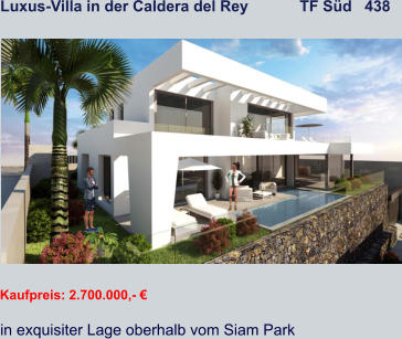 Luxus-Villa in der Caldera del Rey            TF Süd   438   Kaufpreis: 2.700.000,- € in exquisiter Lage oberhalb vom Siam Park