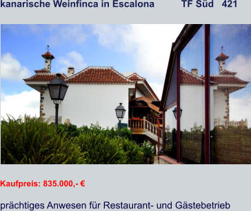 kanarische Weinfinca in Escalona          TF Süd   421   Kaufpreis: 835.000,- € prächtiges Anwesen für Restaurant- und Gästebetrieb