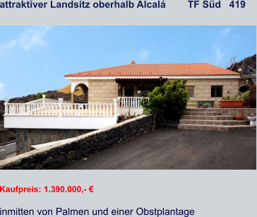 attraktiver Landsitz oberhalb Alcalá        TF Süd   419   Kaufpreis: 1.390.000,- € inmitten von Palmen und einer Obstplantage